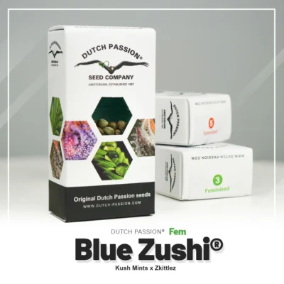 DUTCH PASSION - BLUE ZUSHI FEM – Image 2