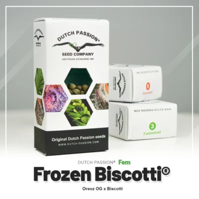 DUTCH PASSION - FROZEN FEM BISCUITS - Image 2