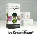 DUTCH PASSION - ICE CREAM HAZE REG – Image 2