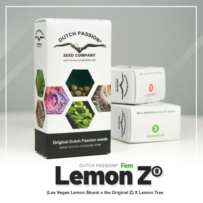 DUTCH PASSION - LEMON Z FEM – Image 2