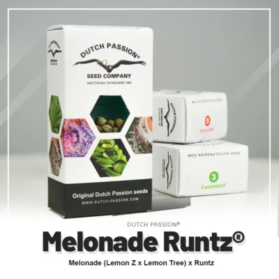DUTCH PASSION - MELONADE RUNTZ FEM - immagine 2