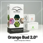 DUTCH PASSION - ORANGE BUD 2.0 FEM - immagine 2