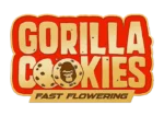 FAST BUDS - GORILLA COOKIES FAST FLOWERING FEM - immagine 2