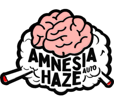 SCHNELLE KNOSPEN - ORIGINAL AMNESIE HAZE AUTO – Bild 2