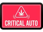FAST BUDS - ORIGINAL CRITICAL AUTO - Image 2