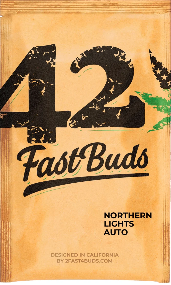 FAST BUDS - ORIGINAL NORTHERN LIGHTS AUTO - immagine 3