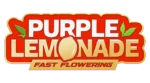FAST BUDS - LIMONADA PURPURA FLORACION RAPIDA FEM - Imagen 2