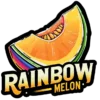 FAST BUDS - MELÓN ARCO IRIS FEM