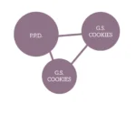 HUMBOLDT SEEDS COMPANY - G.S. COOKIES FEM – Image 2