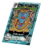 SÜSSE SAMEN - GORILLA SHERBET F1 FAST VERSION® FEM (SWS98) – Bild 2