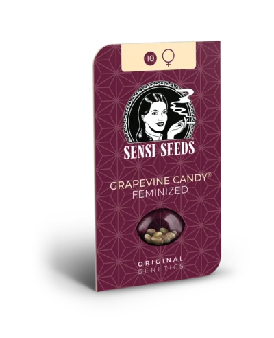 SENSI SEEDS BANK - GRAPEVINE CANDY FEM – Bild 2