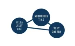 HUMBOLDT SEEDS COMPANY - HELLA JELLY FEM – Image 2