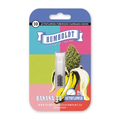 HSC_banana_og_auto_packet-1.webp HUMBOLDT SEEDS COMPANY - BANANA OG AUTO - immagine 1