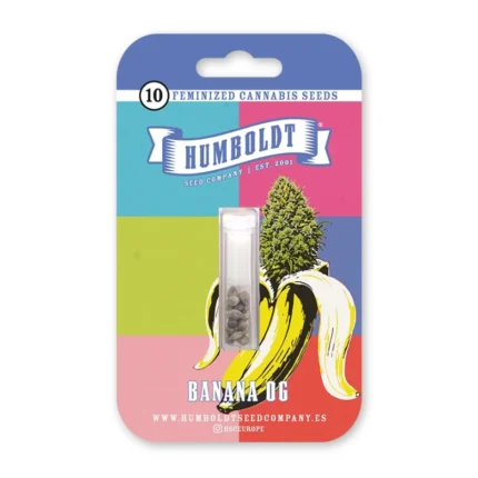 HUMBOLDT SEEDS COMPANY - PLÁTANO OG FEM