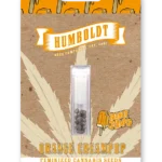 HUMBOLDT SEEDS COMPANY - ORANGE CREAMPOP FEM