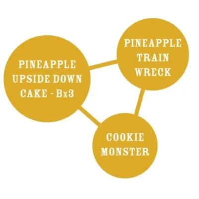 HUMBOLDT SEEDS COMPANY - PINEAPPLE UPSIDE DOWN CAKE FEM - immagine 2