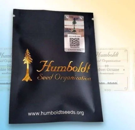 HUMBOLDT SEED ORGANIZATION - OG KUSH FEM