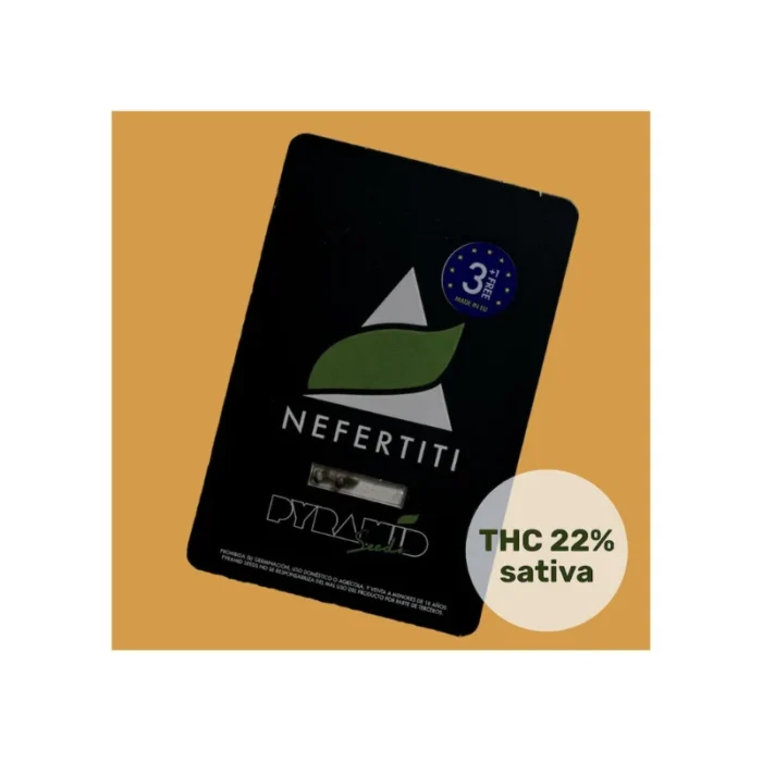 PYRAMIDE SAMEN - NEFERTITI FEM – Bild 2