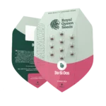 ROYAL QUEEN SEEDS - DO-SI-DOS FEM - Image 2