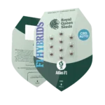 ROYAL QUEEN SEEDS - ATLAS F1 AUTOFLOWERING – Bild 2