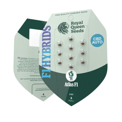 ROYAL QUEEN SEEDS - ATLAS F1 AUTOFLOWERING – Bild 2