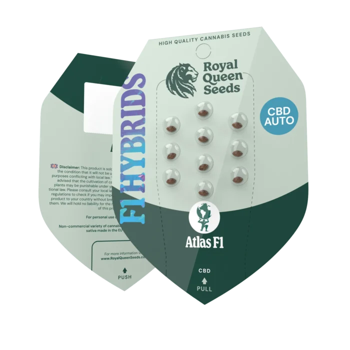 ROYAL QUEEN SEEDS - ATLAS F1 AUTOFLOWERING – Bild 2