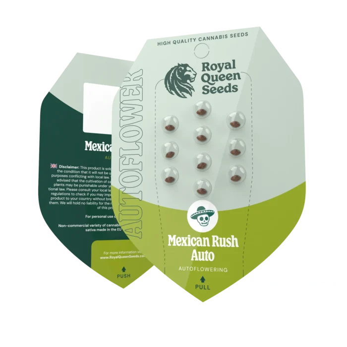ROYAL QUEEN SEEDS - MEXICAN RUSH AUTO FEM - immagine 2