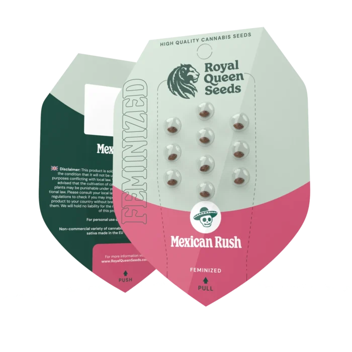 ROYAL QUEEN SEEDS - MEXICAN RUSH FEM - immagine 2