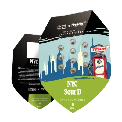 ROYAL QUEEN SEEDS - NYC SOUR D AUTO FEM (TYSON SEEDS) - Image 2