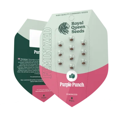 ROYAL QUEEN SEEDS - PURPLE PUNCH FEM - immagine 2