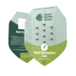 ROYAL QUEEN SEEDS - NORTH THUNDERFUCK AUTOMATIC FEM (USA PREMIUM) - Image 2