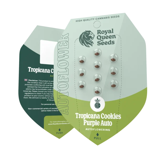 ROYAL QUEEN SEEDS - TROPICANA COOKIES PURPLE AUTO FEM - immagine 2