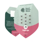ROYAL QUEEN SEEDS - GRAPE APE FEM (USA PREMIUM) - immagine 2