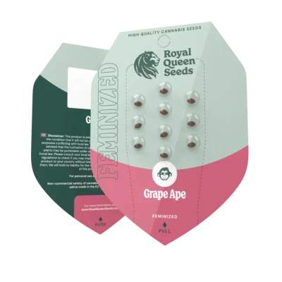 ROYAL QUEEN SEEDS - GRAPE APE FEM (USA PREMIUM) – Image 2