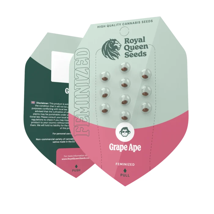 ROYAL QUEEN SEEDS - GRAPE APE FEM (USA PREMIUM) - immagine 2