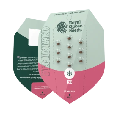 ROYAL QUEEN SEEDS - ICE FEM - Image 2