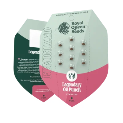 ROYAL QUEEN SEEDS - LEGENDARIA OG PUNCH FEM (USA PREMIUM) - Imagen 2