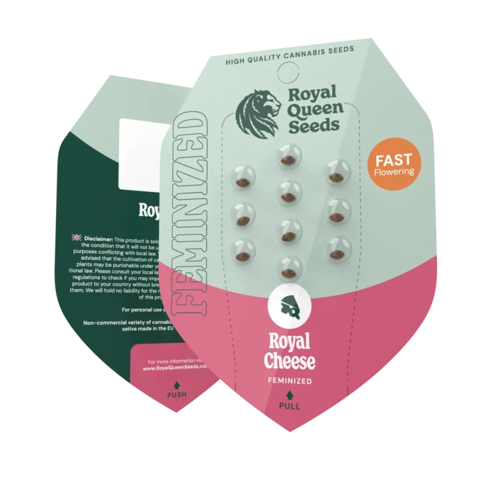 ROYAL QUEEN SEEDS - ROYAL CHEESE FAST FLOWERING FEM – Image 2