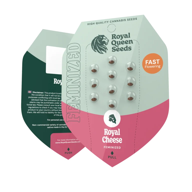 ROYAL QUEEN SEEDS - ROYAL CHEESE FAST FLOWERING FEM - immagine 2