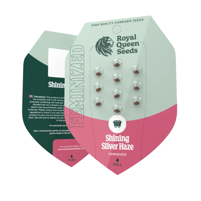 ROYAL QUEEN SEEDS - SHINING SILVER HAZE FEM - immagine 2