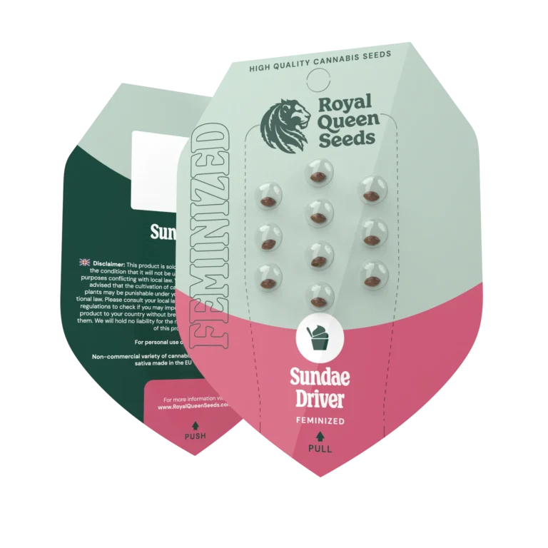 ROYAL QUEEN SEEDS - SUNDAE DRIVER FEM (USA PREMIUM) – Bild 2
