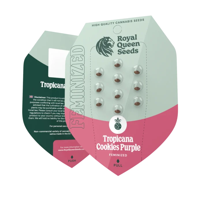 ROYAL QUEEN SEEDS - TROPICANA COOKIES PURPLE FEM - Image 2