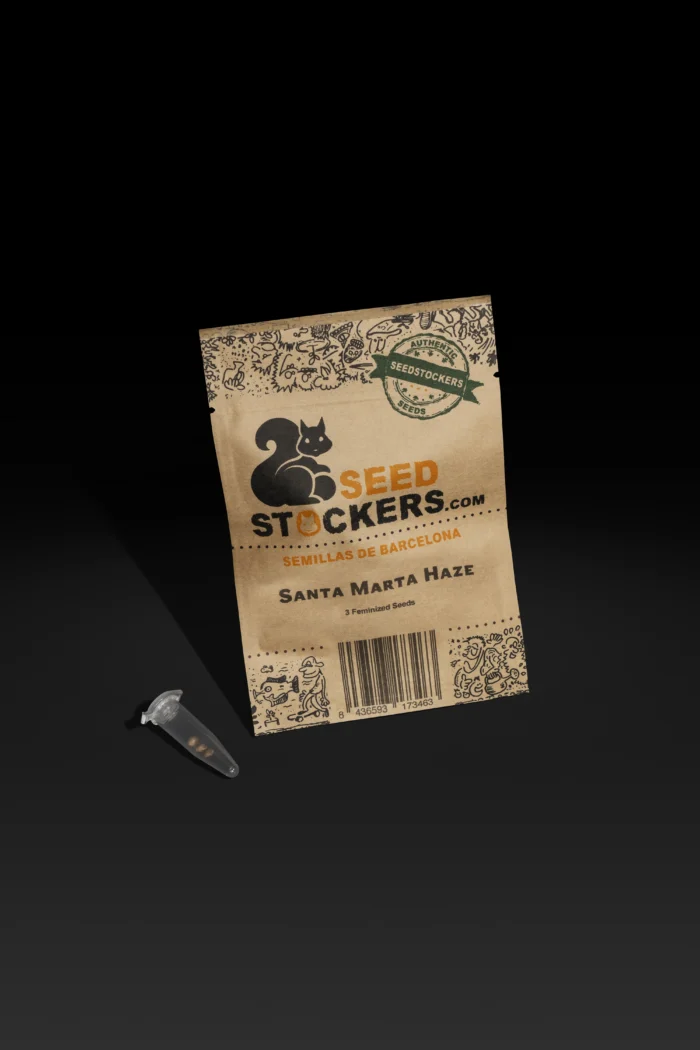SEEDSTOCKERS - SANTA MARTA HAZE FEM (SUPERIOR) – Image 1