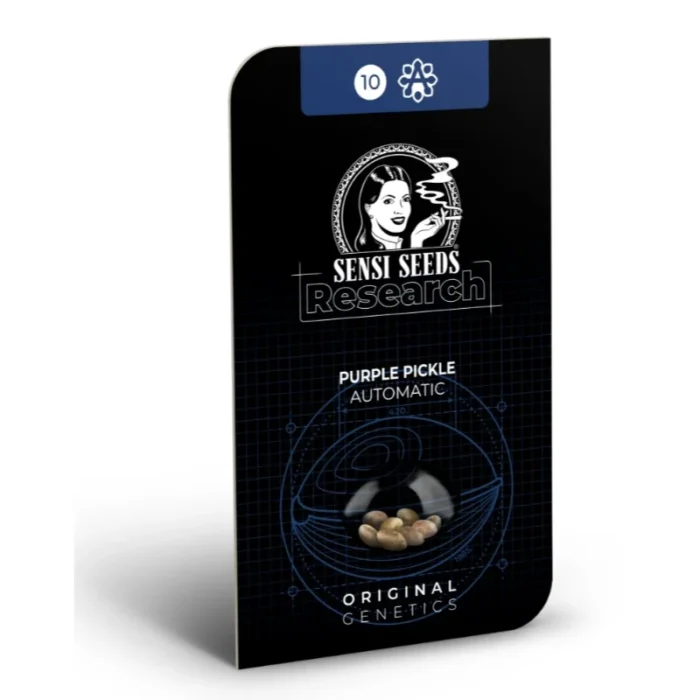 SENSI SEEDS RESEARCH - PURPLE PICKLE AUTO FEM – Image 2