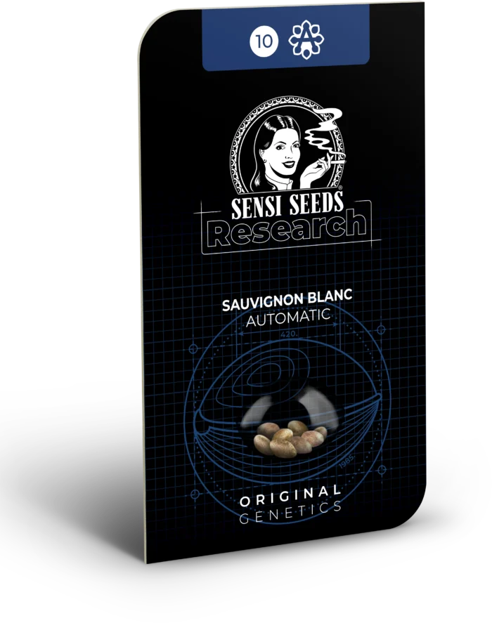 SENSI SEEDS RESEARCH - SAUVIGNON BLANC AUTO FEM – Image 2
