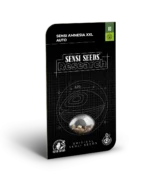 SENSI SEEDS RESEARCH - SENSI AMNESIA XXL AUTO FEM - Image 2