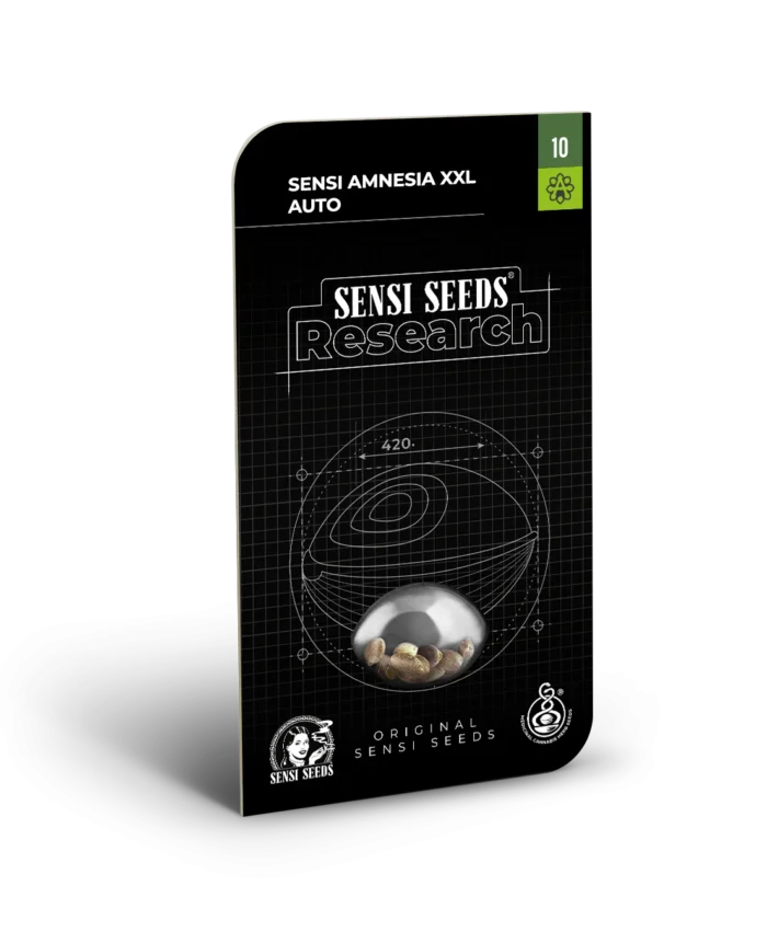 SENSI SEEDS RESEARCH - SENSI AMNESIA XXL AUTO FEM - Imagen 1