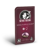 SENSI SEEDS BANK - SENSI PURPLE KUSH FEM - immagine 2