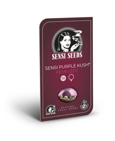 SENSI SEEDS BANK - SENSI PURPLE KUSH FEM - Image 2