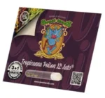 GRAINES DOUCES - TROPICANNA POISON XL AUTO® FEM (SWS95) – Image 2